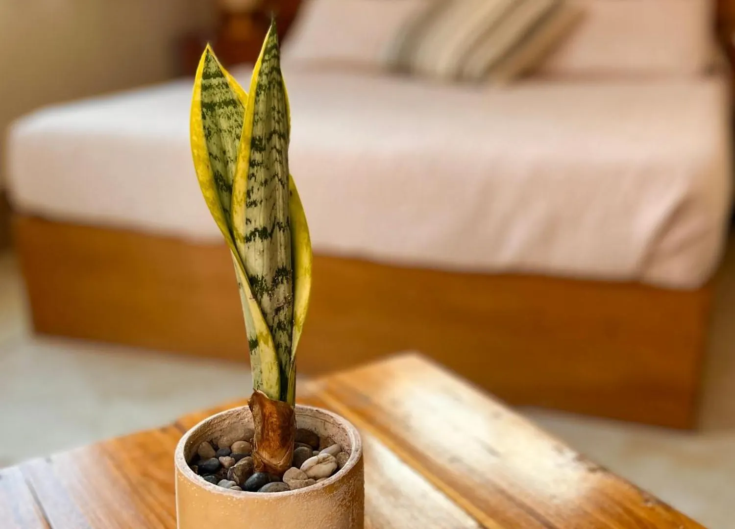 Villa Anicca Aldea Isla Holbox